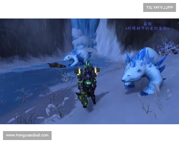 魔兽世界9.25：战宠升级攻略